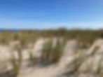 Dünen am Meer
