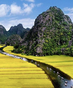 Screen Shot 2024-01-13 at 12.55.52 AM.png