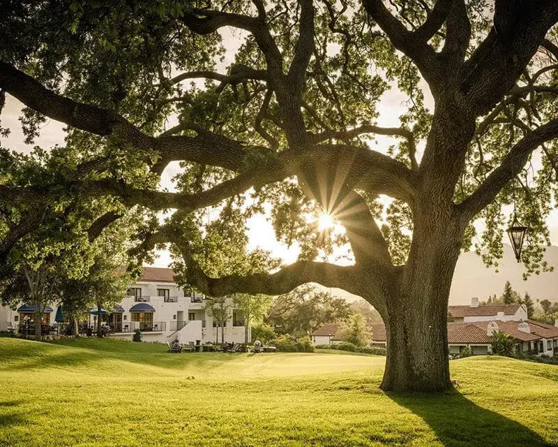 Wedding Rehearsal & Rehearsal Dinner