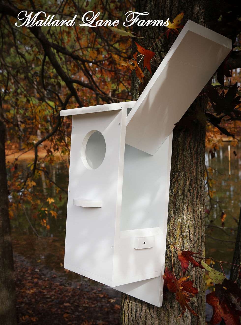 Thumbnail: wood duck nesting box
