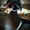Thumbnail: Wood Duck Pair