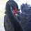 Thumbnail: Black Swans pair Breeder age