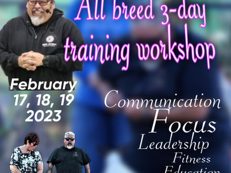 3 day training seminar with Eric Salas in February 2023 here at the Tin Roof Ranch.