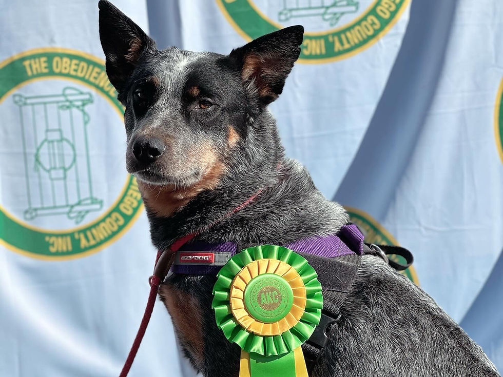 Mya wins Advanced High in Trial!