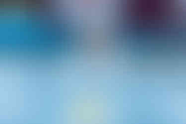 Blue heeler dock diving making first splash on the water with her eyes closed