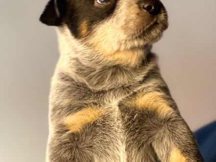 In case you haven’t heard