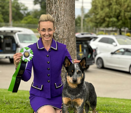 BCAT Fastcat title ribbon and an Australian Cattle Dog