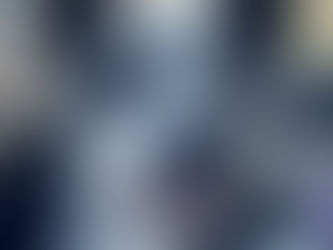 AKC Scentwork SWCSGF