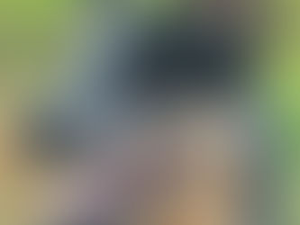 2023 Mya x Gavin puppies coming soon!!!!