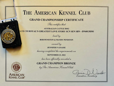 Grand Champion Bronze