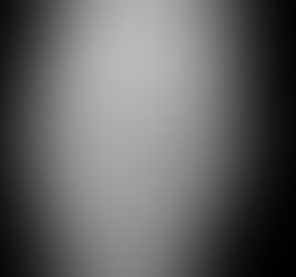 Belly full of puppies