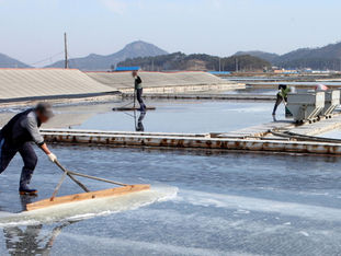 태평염전 사태가 던진 기업 인권 리스크의 경고