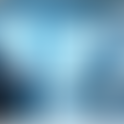 '책무구조도', 임원 직책별 책임 문서화