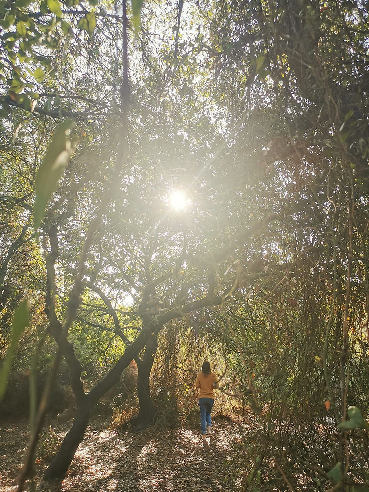 WhatsApp Image 2026-03-15 at 21.43.37.jpeg