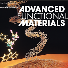 Our research is now featured on the cover of Advanced Functional Materials! Check it out here
