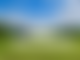 Joy’s Determination