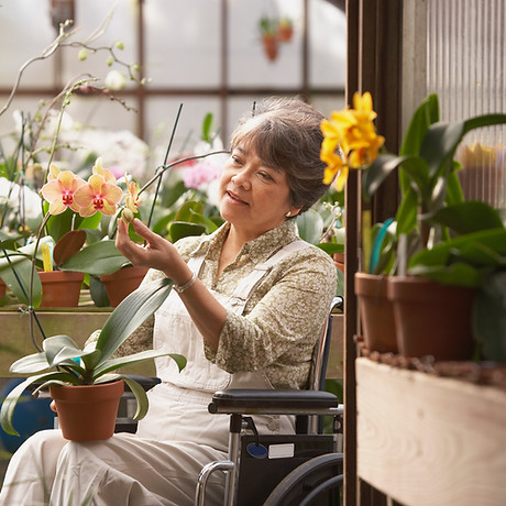 Woman in Wheelchair in Greenhouse