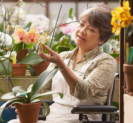 Woman in Wheelchair in Greenhouse