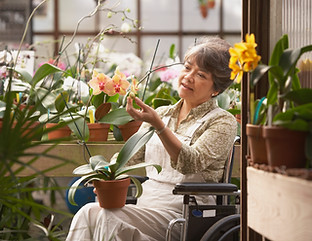 Woman in Wheelchair in Greenhouse