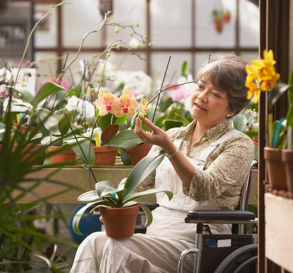 Woman in Wheelchair in Greenhouse