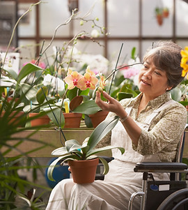 Woman in Wheelchair in Greenhouse