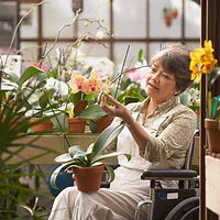 Woman in Wheelchair in Greenhouse