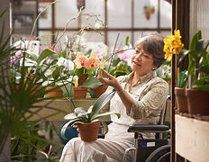 jardin ehpad | animation jardin personnes âgées | animateur jardin maison de retraite et foyer logement | amboise | loches