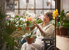 Woman in Wheelchair in Greenhouse