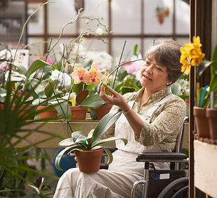 Woman in greenhouse