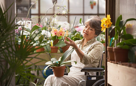 Woman in Wheelchair in Greenhouse