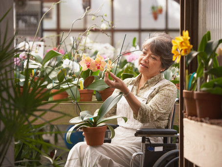 Identifying Lewy Body Dementia (LBD)
