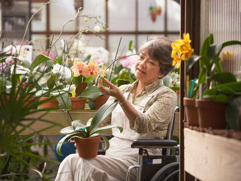 Woman in Wheelchair in Greenhouse