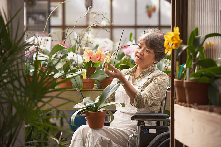 Woman in Wheelchair in Greenhouse