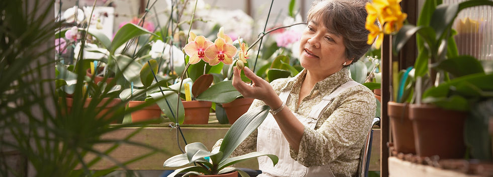 Woman in Wheelchair in Greenhouse