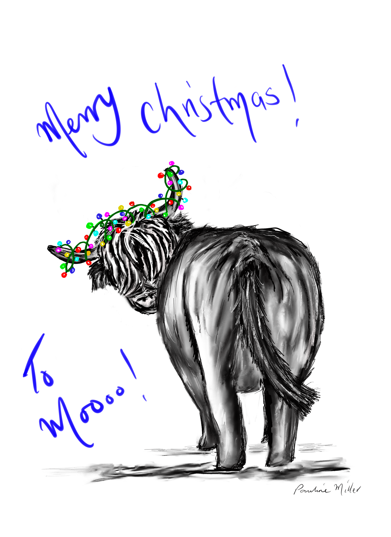 Christmas Cards Highland Cow From Behind