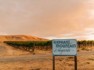 Press Release: A New Chapter for Hattrup Farms, Preserving a Legacy in Washington Wine Country