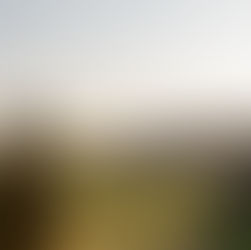 The Tao of Farming Lesson #3 – Be Consistent, Be Humble