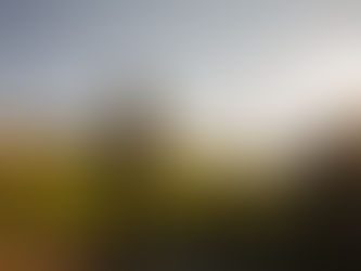 The Reason Why: More Than Wine