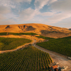 The Weight of a Good Year: MocToe's Harvest 2025