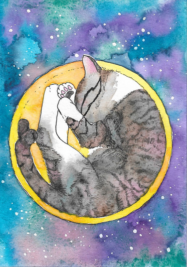 Cat Mojo.jpg