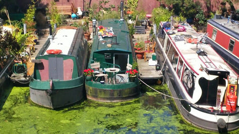 החיפוש אחר העתיד הנכסף