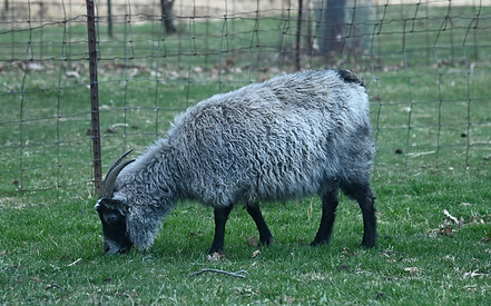 DSC_5568.JPG