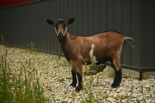 DSC_9395.JPG