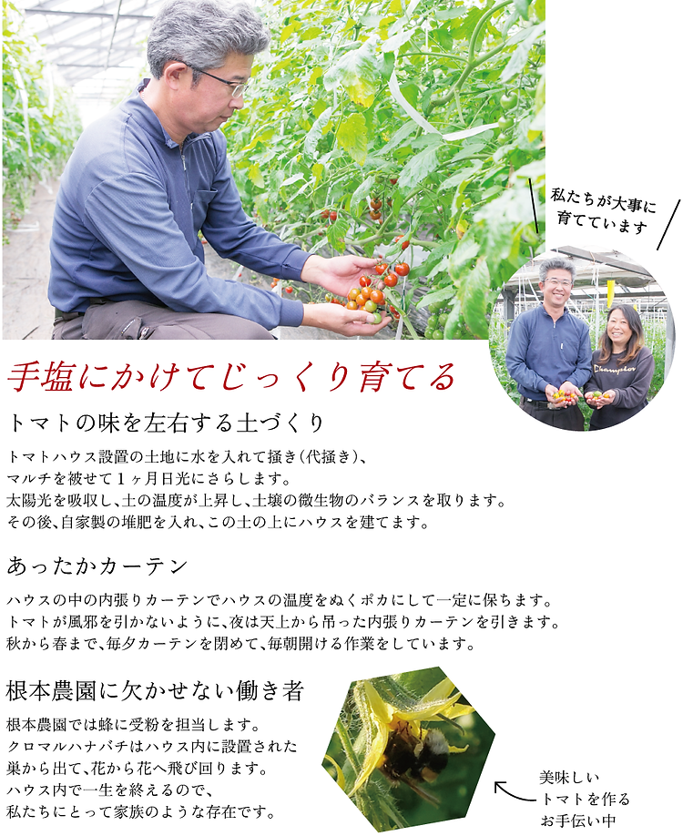 アセット 2_1.5x.png