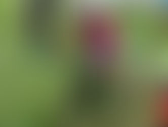 Manche de Coupe de France de CX à TROYES.