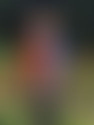 Des nouvelles du front des cyclo-cross – 11 novembre