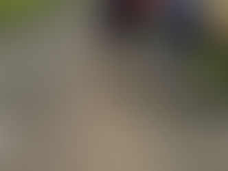 On prépare les fêtes de Noël !
Il faisait beau, c'était cool.