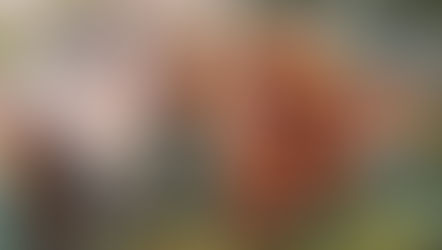 My Top 8 FIN-ish at the Hunter Burton Memorial Open With Merfolk