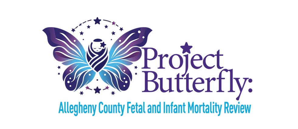project_butterfly_logo_edited_edited_edi