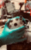 Dirt Bike Engine Repair